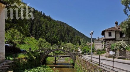 откриват център умствено изостанали широка лъка