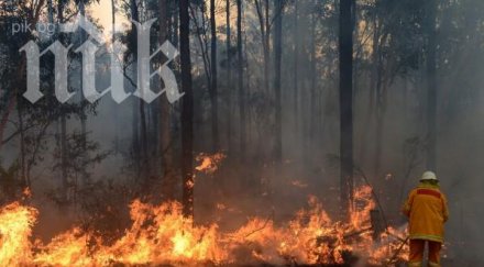 един човек загинал голям горки пожар австралия