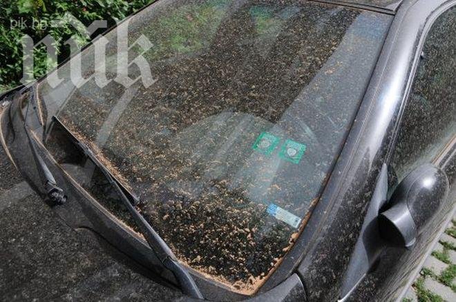 В 17 града е измерен прах над нормата