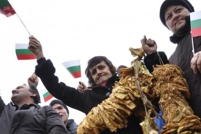 Тютюнопроизводители протестират - спират децата си от училище