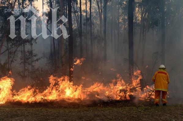 Един човек е загинал при голям горки пожар Австралия