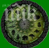 Вижте личността и бъдещето си според келтския дървесен хороскоп! Зодия по зодия!