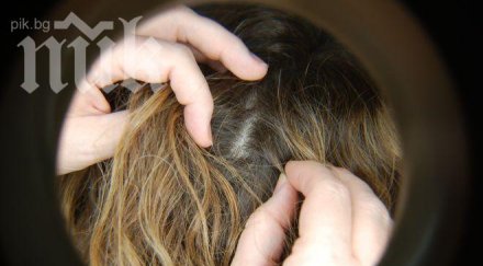 бум въшки училищата бургас