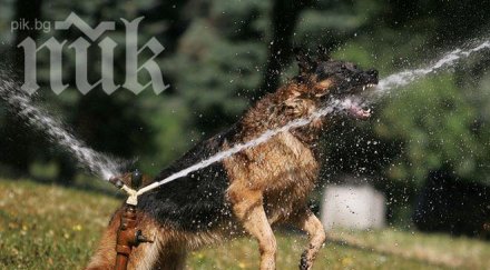 чудовищна жега посред януари градуса удари живакът велико търново