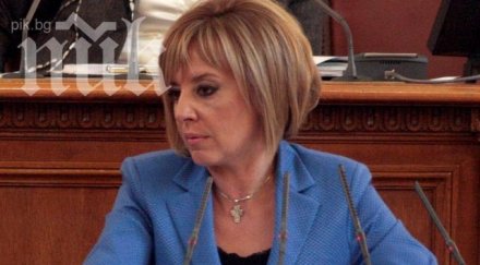 мая манолова кандидатира евродепутат