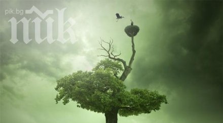 пик сбъдване сънищата зодията