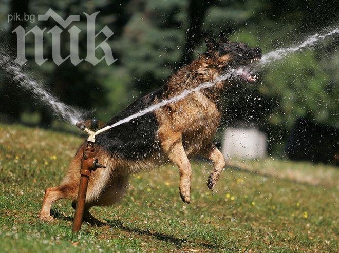 Чудовищна жега посред януари: 26 градуса удари живакът във Велико Търново