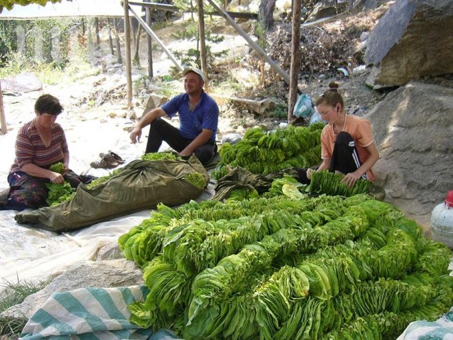 Тютюнопроизводители на нов протест, блокират ключови магистрали