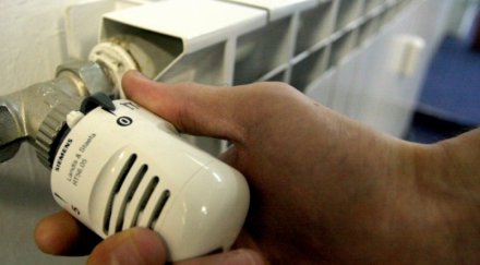 падне цената парното догодина питат бсп