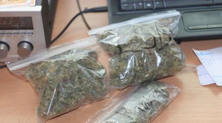 сгащиха двама младежи канабис