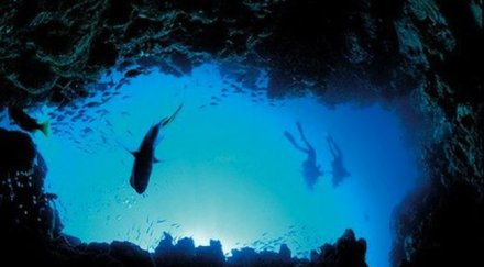 австралия обяви океана защитена зона