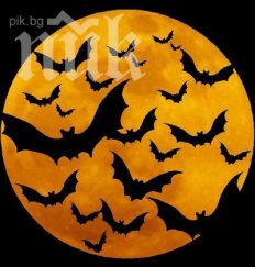 вижте какъв символ носи името разкрива вас