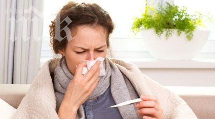 грипна епидемия русе засега учениците излизат ваканция