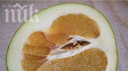 помело добрият защитник здравето