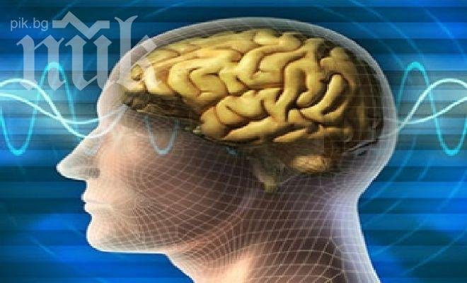 Научете кое полукълбо на мозъка си използвате и какво говори това за вас?