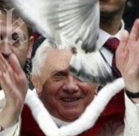 Страшно! Гълъбите за мир в Украйна, които папата пусна, бяха наядени от черни врани