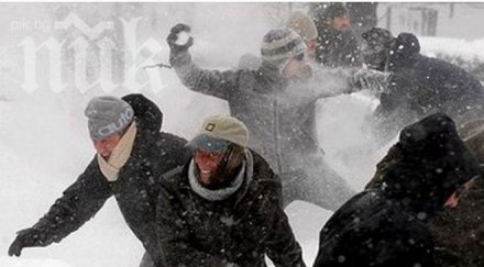 виелици кучи студ очакват