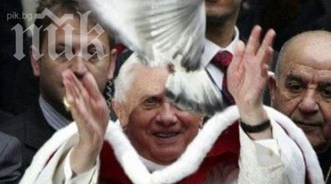 Страшно! Гълъбите за мир в Украйна, които папата пусна, бяха наядени от черни врани