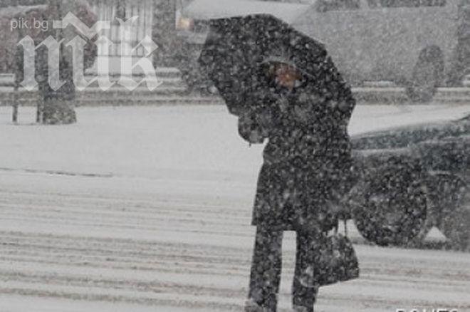 БАН: В Североизточна България снегът продължава да се трупа, на запад спира