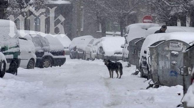 Метеоролози: Снеговете продължават поне до неделя, има опасност от навявания и поледици
