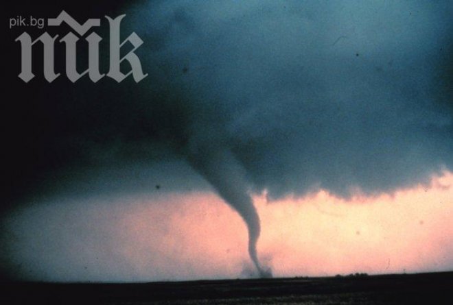 Миниторнадо засмука котки на Острова