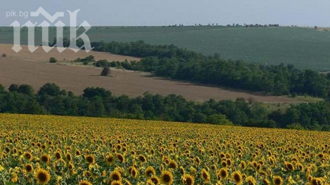 КС обяви, че решението за мораториума за земята е противоконституционно