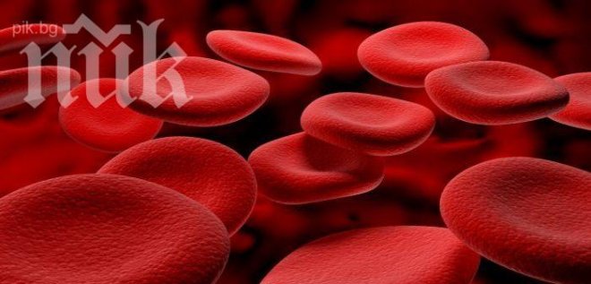 С материал от мишка изобретиха нов метод за създаване на стволови клетки 