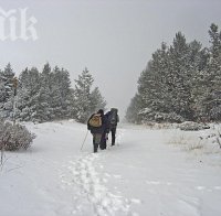Уникум! Осъдиха на 2 г. затвор крадци-балъци, заловени по стъпките им в снега