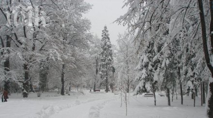 синоптици бан аномалия сутрин плюс сандански минус разград все едно сме различни сезони