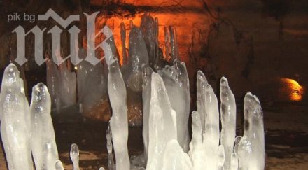 врачани хванаха гушите заради спор леденика