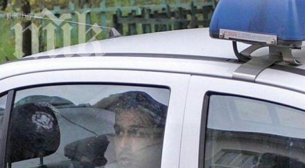 цигани разколачват мост любимец