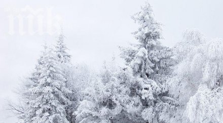 синоптиците шок времето полудя температурна разлика градуса северна южна българия