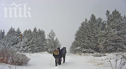 уникум осъдиха затвор крадци балъци заловени стъпките снега