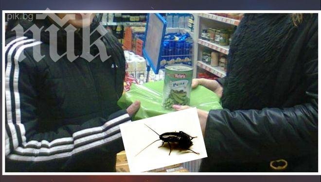 Гадост! Млада майка купи от Мисота грах в консерва за детето си, вътре откри сварена хлебарка!