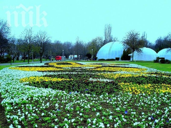 НАП: Бургас е градът с най-много милионери