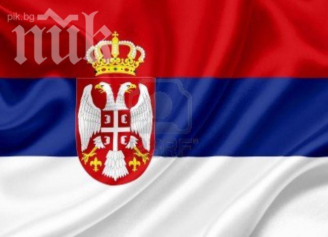 Армията се бори със снеговете в Сърбия