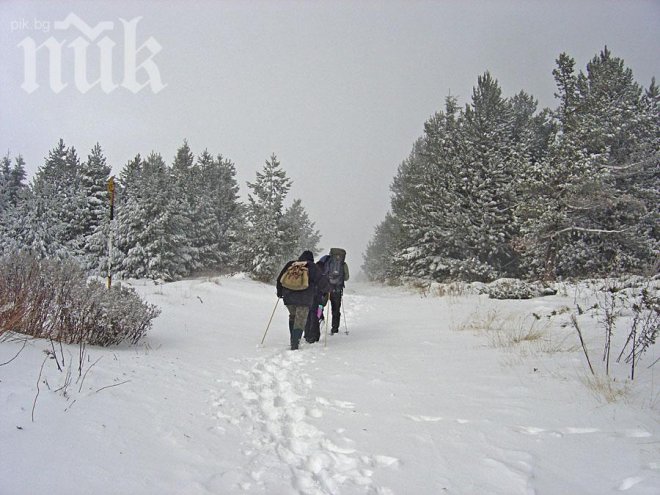 Уникум! Осъдиха на 2 г. затвор крадци-балъци, заловени по стъпките им в снега