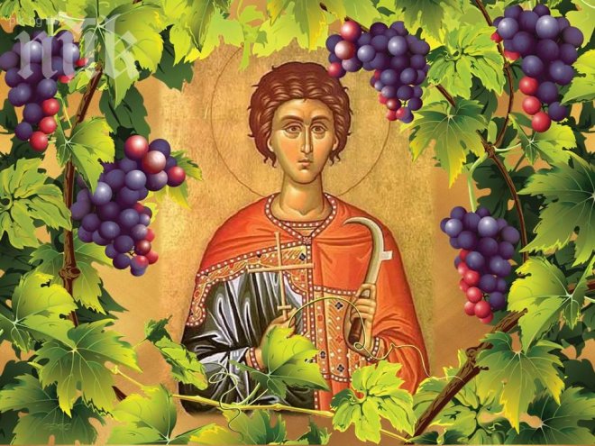 Почитаме св.Трифон