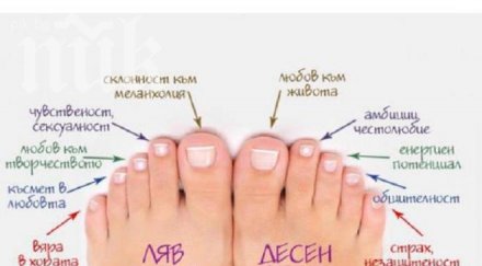 ново двайсе вижте бъдещето цвета формата ходилото