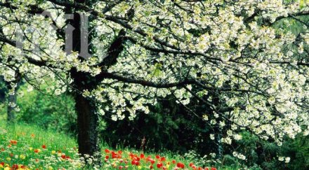 синоптици бан зимата свършва идва пролет неделя очаква жега 18°