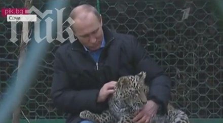 путин гали леопард зоопарк животното нападна журналисти видео