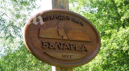 герб габрово скочи назначението али алиев иска оставка орешарски