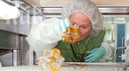 сзо очаква бум ракови болести вижте избегнете