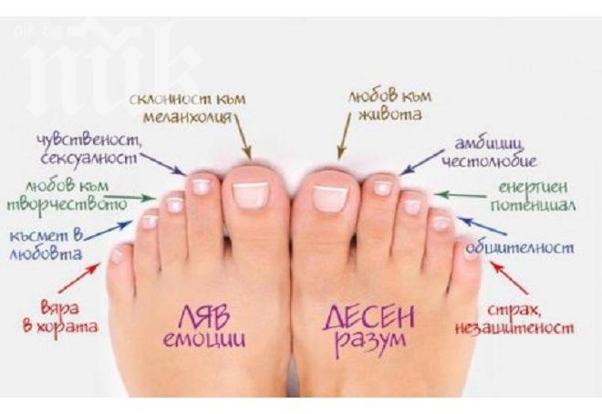 Ново двайсе! Вижте бъдещето си според цвета и формата на ходилото