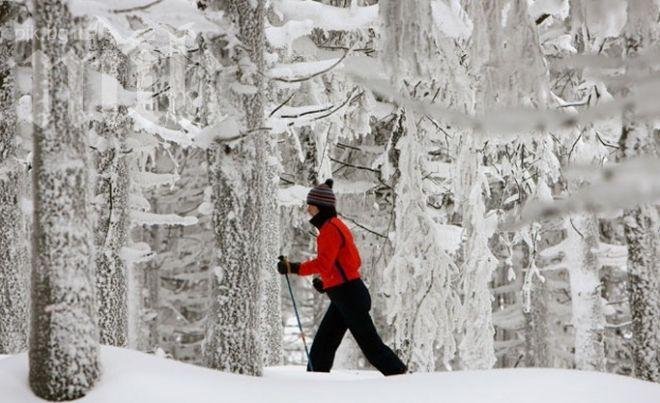 Шефът на БЧК: Не имало шанс пострадалият скиор да бъде спасен