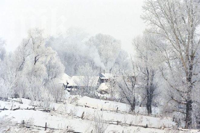 БАН: Студът ще хапе и утре! От вторник започва блажено затопляне