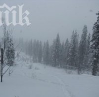 Обявиха извънредно положение в Пенсилвания заради снежна буря