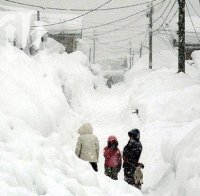 Снежна буря остави половин милион души без ток
