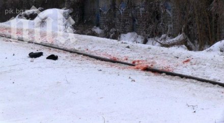 блъснатата влак жена самоубила сбогом моe дете вече идва били последните думи снимки