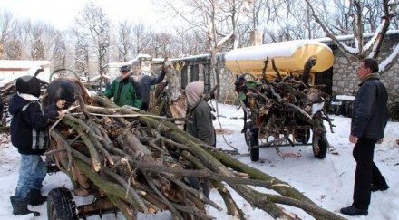 роми изсякоха цяла гора греят